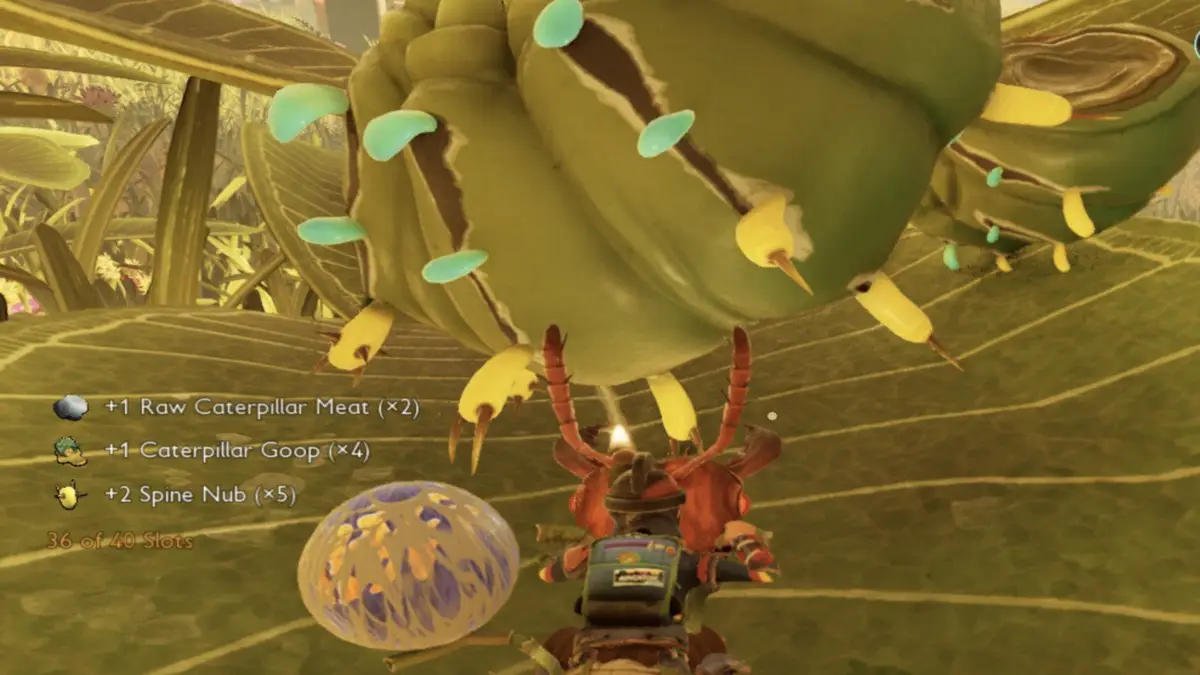 In-game screenshot of a player harvesting a spine nub from a catepillar in Grounded 2.