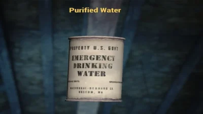 Inspecting Purified Water in Fallout 76