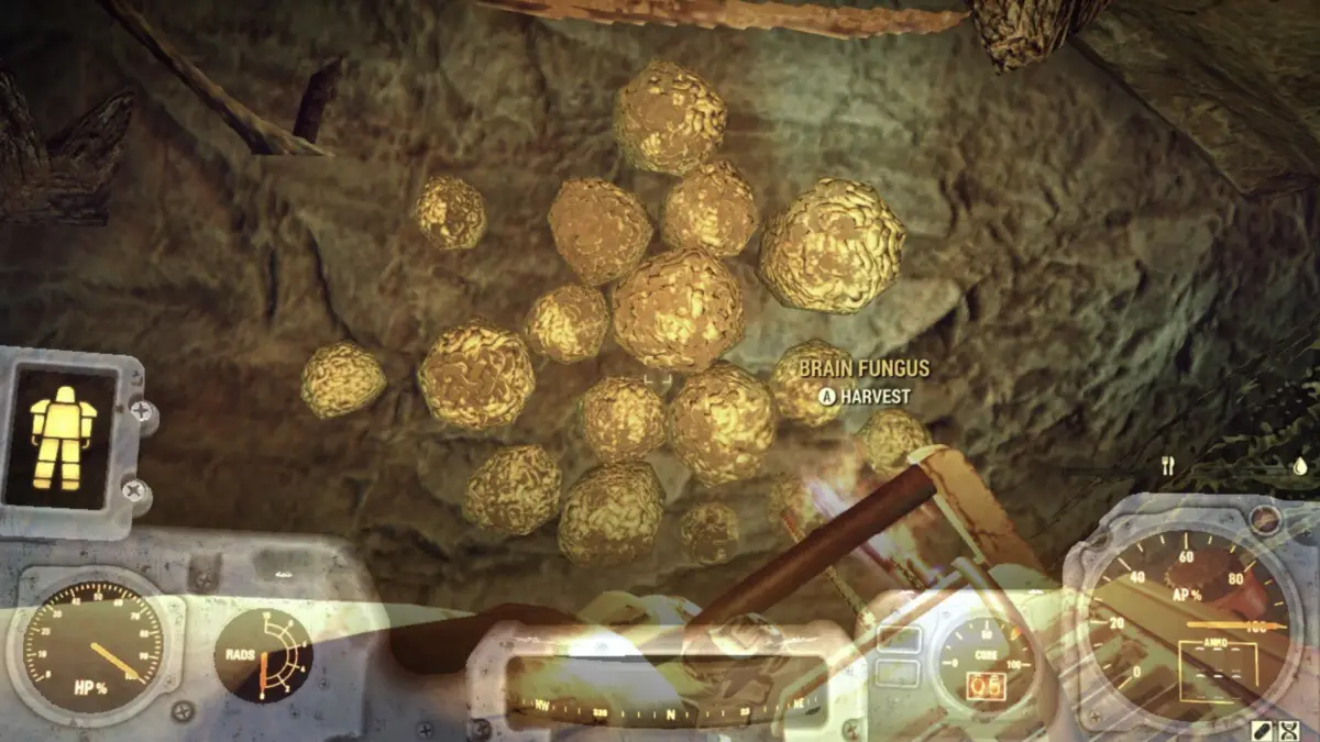 Harvesting Brain Fungus in Fallout 76