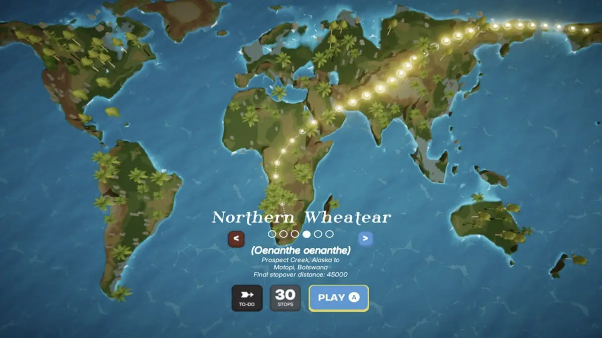 In-game screenshot showing the Northern Wheatear Migration in Birdigo