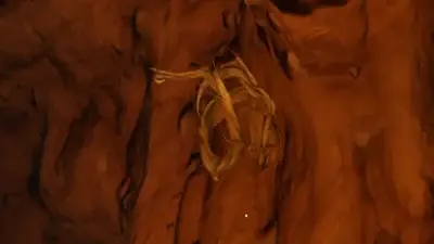 Knotroot in Lego Fortnite used as the featured image for resource guide.
