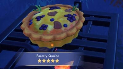 Screenshot of Making Foresty Quiche in DDV used as featured image.