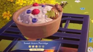 Screenshot of making Making Sweet Acorn Porridge in DDV used as featured image.