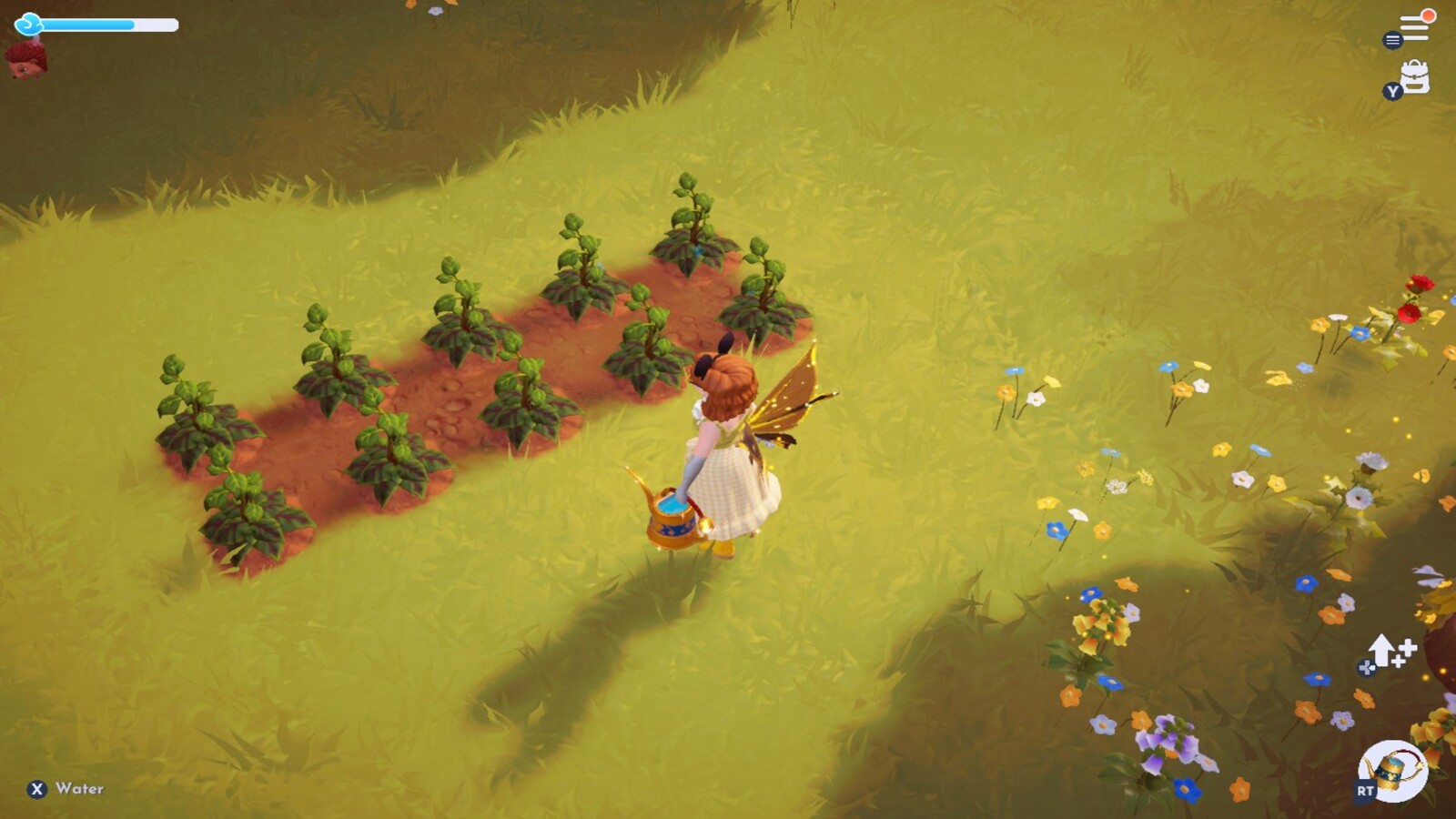 Watering Golden Pattypan in Dreamlight Valley