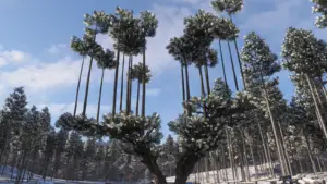 Screenshot of Kitayama Big Daisugi FH6 used as featured image for location guide.