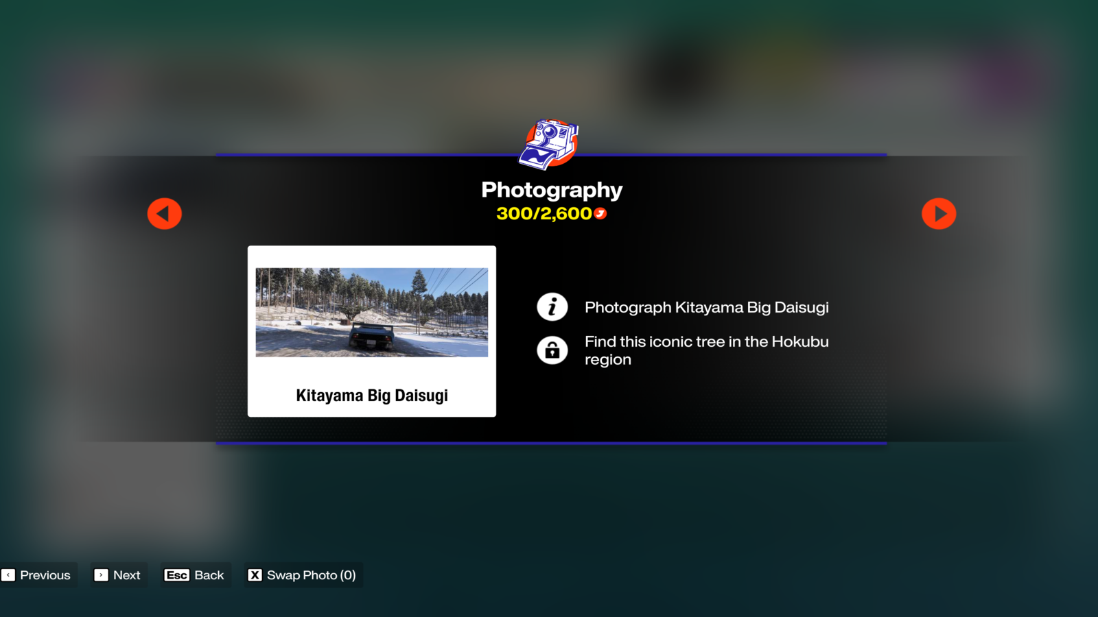 Photography Kitayama Big Daisugi